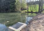 Revitalizace obecního rybníka Studnice